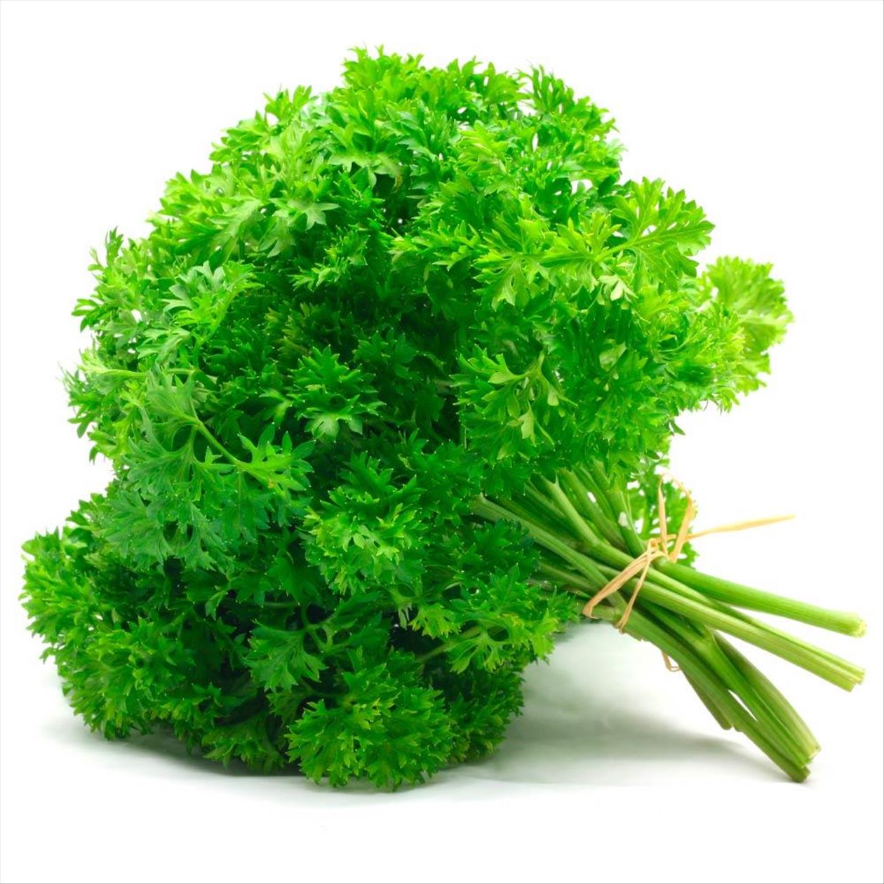 Salsa Crespa Unidade