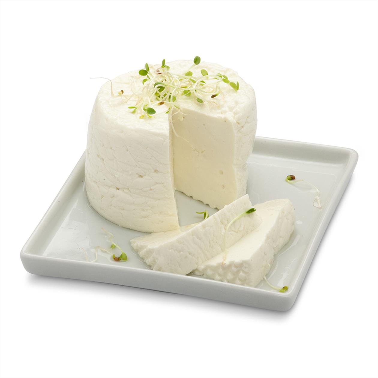 Queijo Minas Frescal Vitalatte Pote 420g