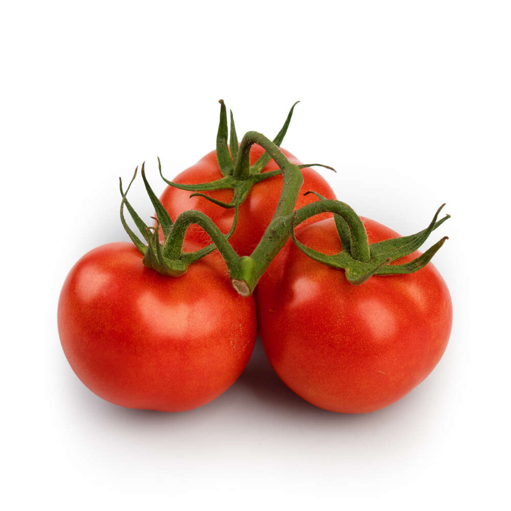 Tomate Fonte Verde 500g