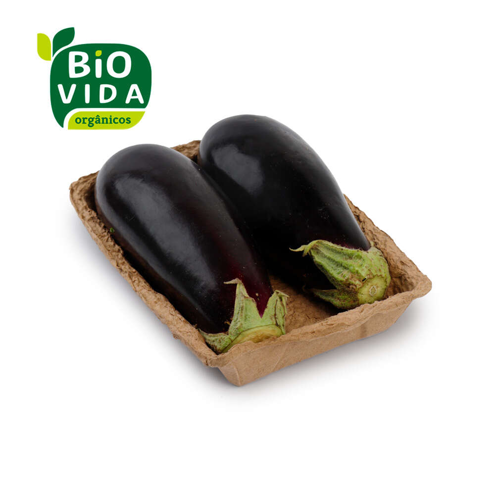 Berinjela Orgânica Bio Vida 600g
