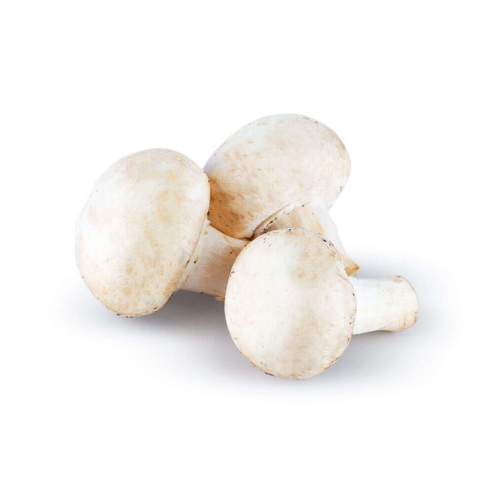 Cogumelo Champignon 100g