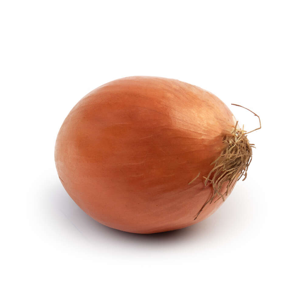 Cebola Unidade