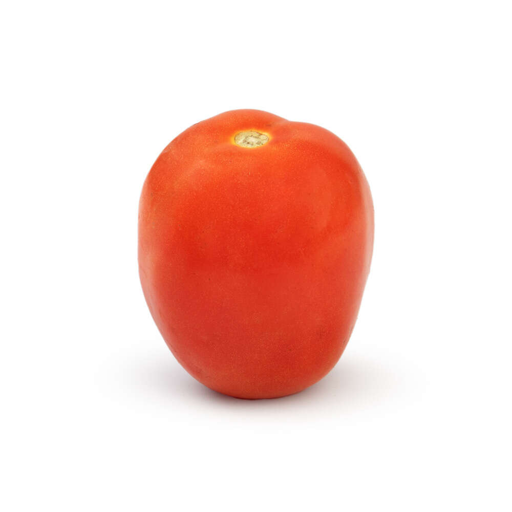Tomate Italiano Unidade