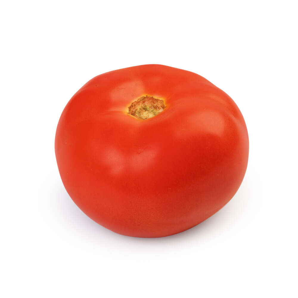 Tomate Carmen Unidade
